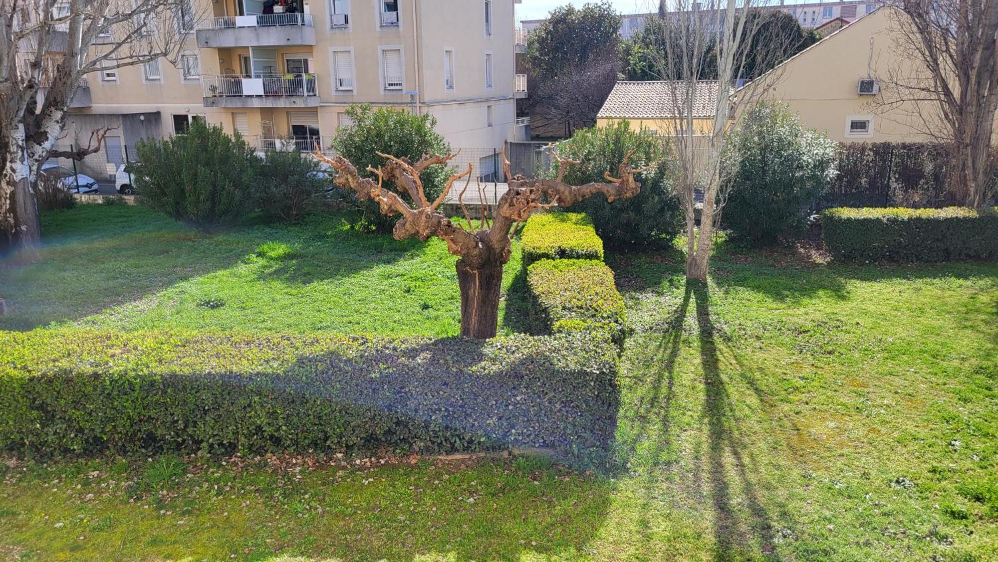 Apartment Les Tourterelles D'avignon *